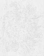 Ramo de flores silvestres 40*50 cm LW 3073