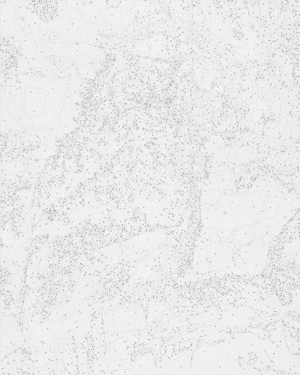 Búho sabio 40*50 cm LW 30830