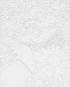 Erizo en margaritas 40*50 cm LW 3086