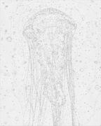 Medusa 40*50 cm LW 32022
