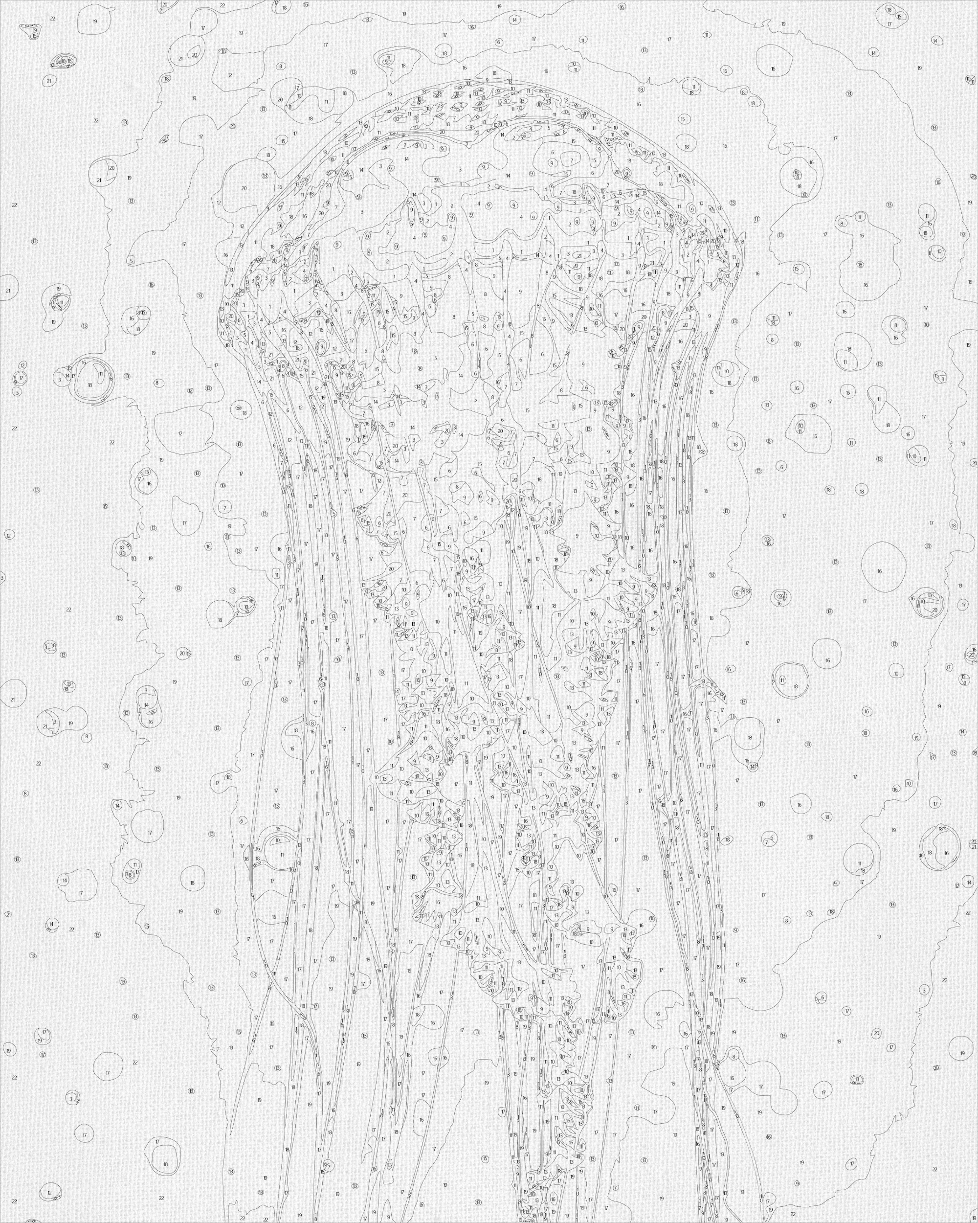 Medusa 40*50 cm LW 32022