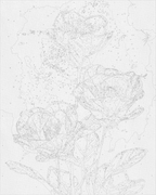 Flores Ástromelias cósmicas con colores metálicos 40*50 cm LW 3337