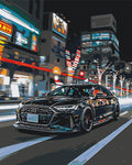 Audi negro 40*50 cm LW 3402