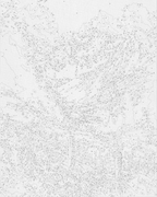 Prado de montaña 40*50 cm LW 3435