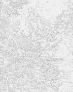 Vida montañesa tranquila 40*50 cm LW 3438