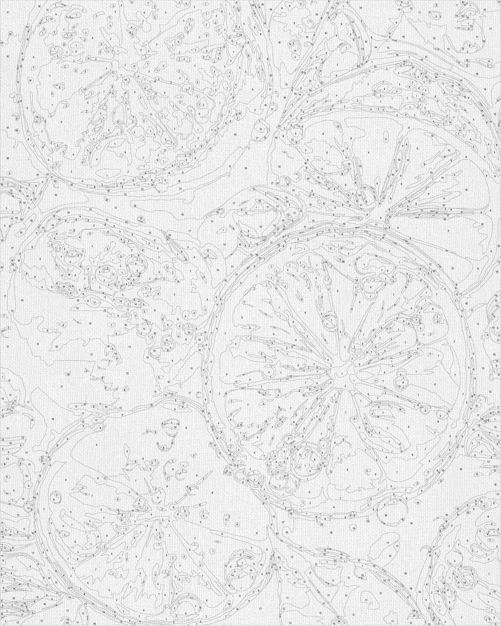 Fruto de lima jugoso 40*50 cm LW 3440