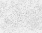 Hortensia azul 40*50 cm LW 3489