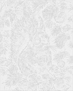 Ardilla con nuez 40*50 cm LW 3508