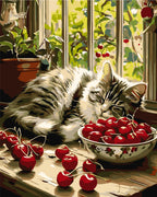 Gatito durmiendo en la ventana 40*50 cm LW 3510