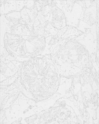 Placer de limón 40*50 cm LW 3527