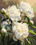 Armonía de peonías 40*50 cm LW 3533